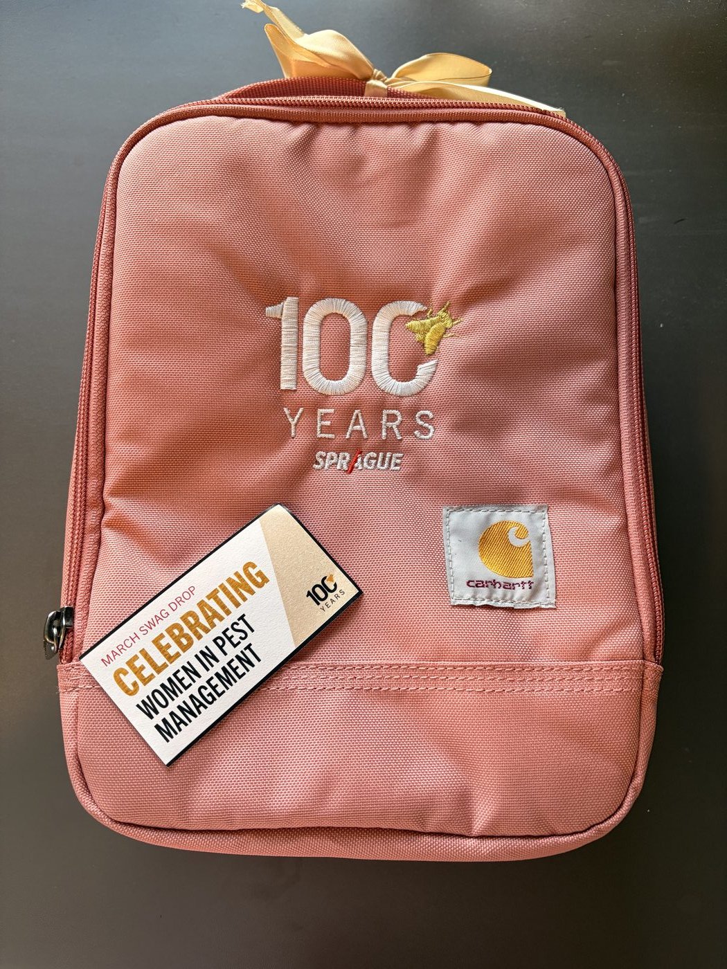 Anniversary-branded lunch bag swag drop